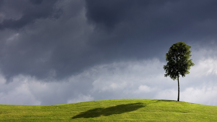 nature, trees, minimalism, hill, shadow, grass, leaves, landscape, clouds, sky, field