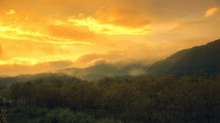 sunset, clouds, trees, yellow, nature, sky, mountain, landscape, mist