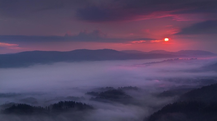 landscape, sunset, sky, forest, clouds, mist, mountain, purple, nature