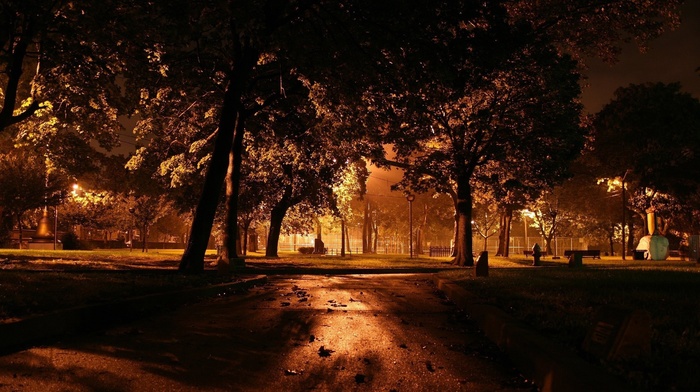 road, grass, trees