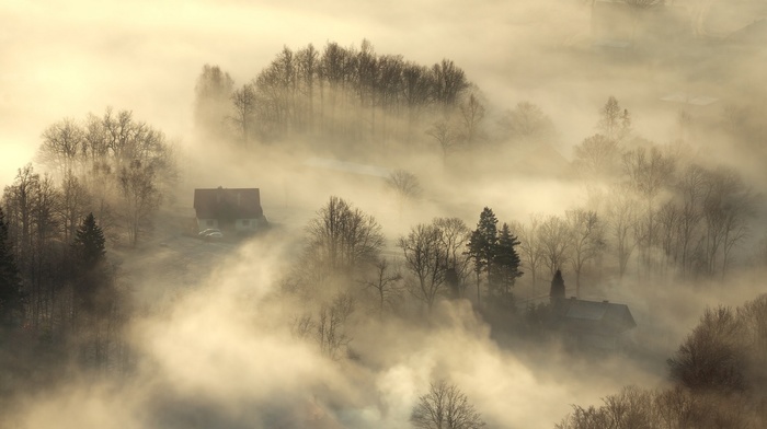 house, sunrise, morning, trees, landscape, aerial view, nature, mist