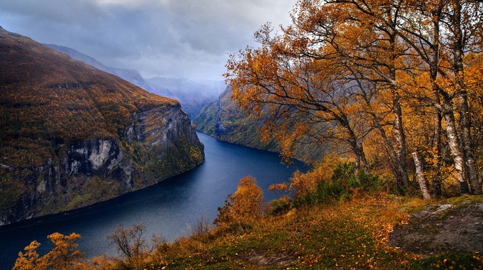 trees, nature, Geiranger, mountain, landscape, clouds, Norway, fjord, fall, grass
