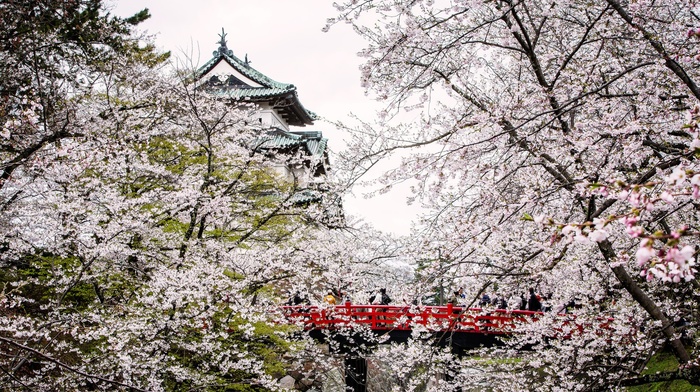 Japan, castle