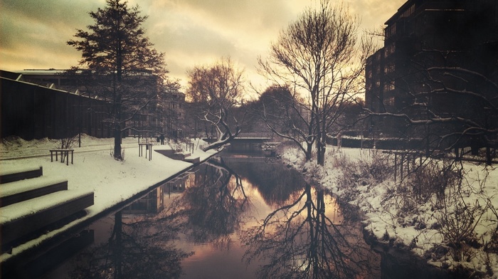 snow, reflection, trees, city