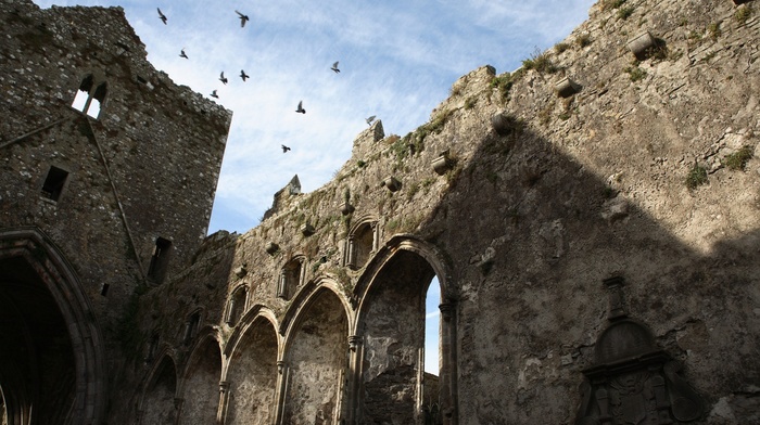 Rock of Cashel, abandoned, church, cathedral, Ireland