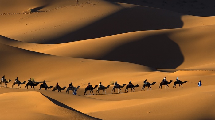 Touaregs, landscape, sand, Morocco, people, desert, shadow, Africa, footprints, nature, dune, animals, camels