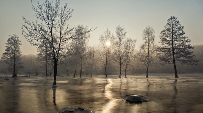 frost, mist, landscape, cold, trees, winter, nature, sunrise, morning