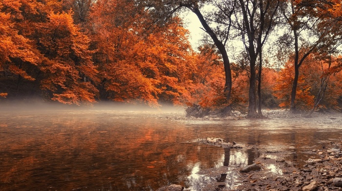 forest, water, trees, river, mist, landscape, amber, Greece, nature, fall