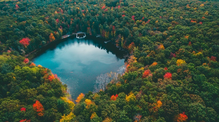 lake, fall, colorful, trees, nature, forest, landscape, aerial view, water, red, yellow, blue, green