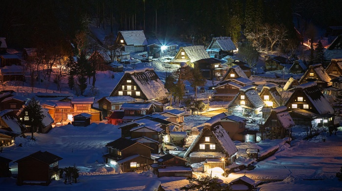 Japan, village, landscape, trees, lights, nature, winter, house, night, architecture, snow