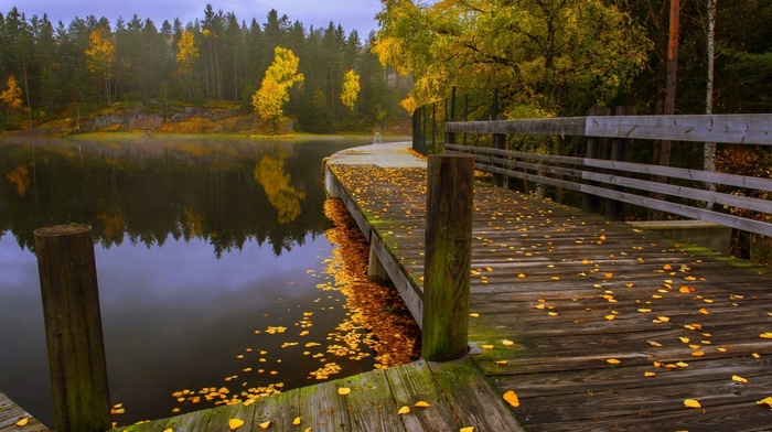 trees, leaves, nature, landscape, forest, fall, water, fence, walkway, lake
