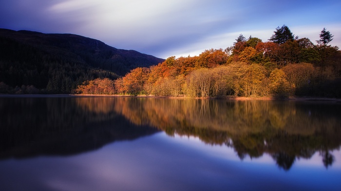 trees, water, lake