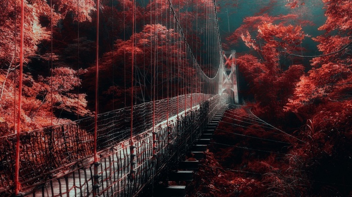 mist, trees, forest, nature, bridge, red, walkway, landscape