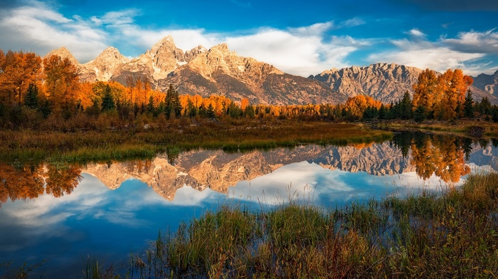 forest, morning, colorful, Grand Teton National Park, clouds, nature, reflection, river, water, landscape, mountain, fall