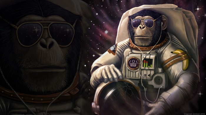 monkeys, space