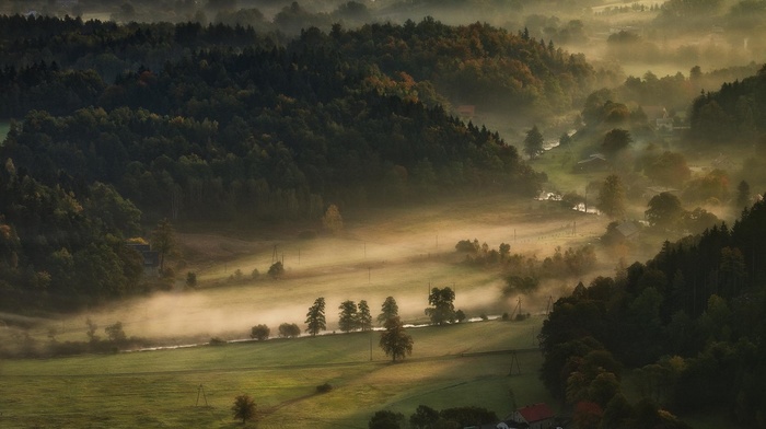 morning, mist, landscape, nature, farm, valley, forest, hill, field, trees