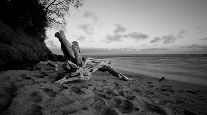 monochrome, beach, sea