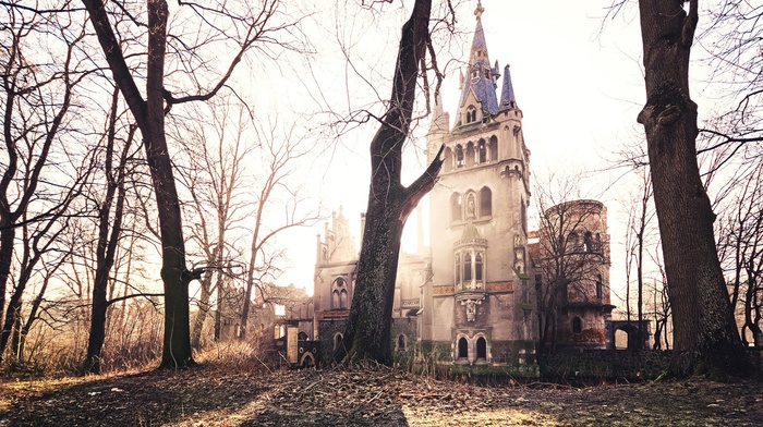 old, architecture, old building, abandoned, Gothic architecture, trees