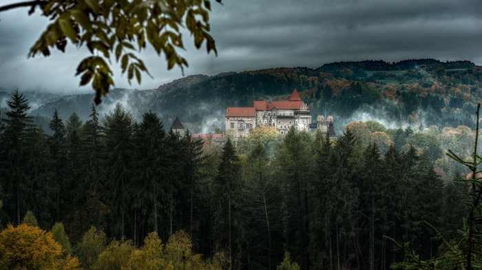 leaves, hill, fall, mist, Czech Republic, trees, pine trees, landscape, forest, clouds, branch, Pernstejn, nature, castle, HDR
