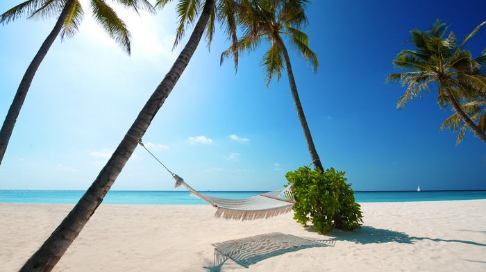tropical, nature, sunlight, sea, white, sky, hammocks, palm trees, beach, landscape, blue, summer, Maldives, sand