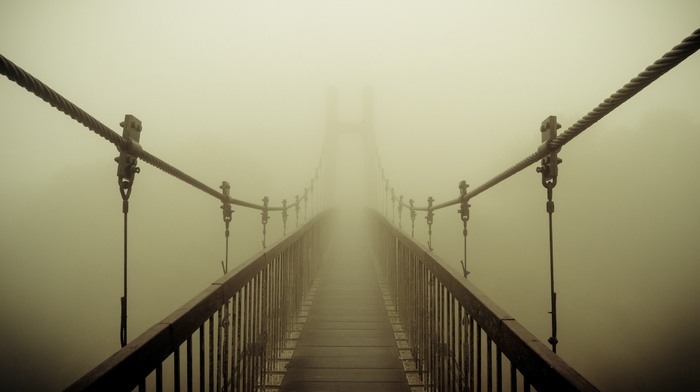 bridge, mist