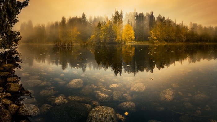 mist, landscape, forest, nature, trees, lake, water, sunrise, reflection, Finland, calm, stones, fall