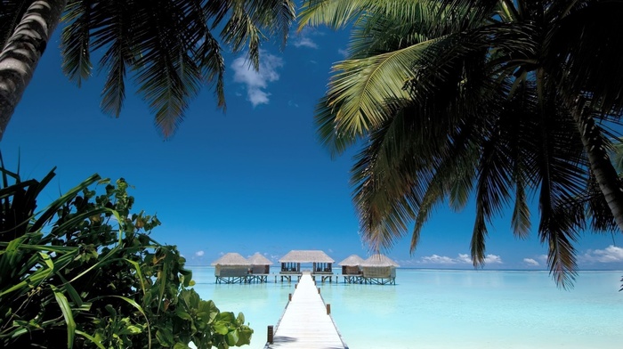 walkway, beach, summer, sea, sky, cabin, Maldives, palm trees, landscape, nature, tropical, blue, water