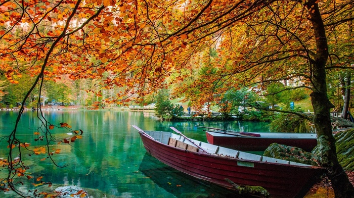 trees, lake, water, landscape, leaves, nature, fall, boat, green