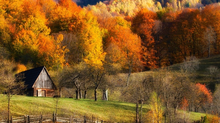 barns, fence, landscape, colorful, hill, forest, fall, trees, nature, grass