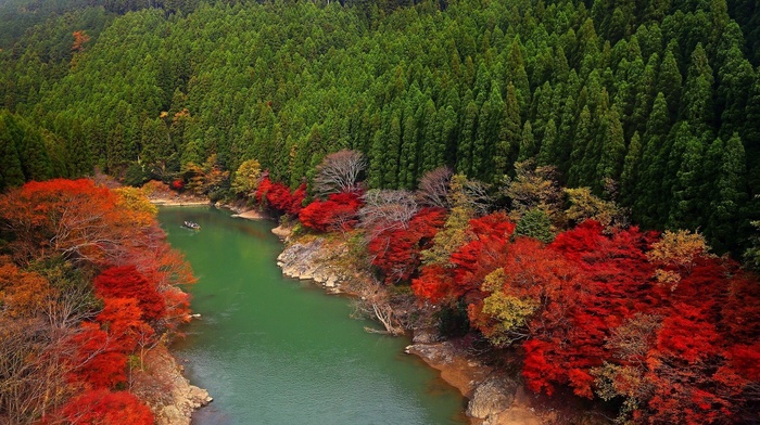 boat, red, Japan, river, forest, fall, leaves, green, hill, colorful, trees, landscape, nature