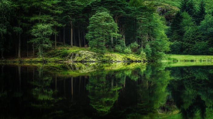 green, grass, water, trees, reflection, landscape, hill, nature, forest, spring, lake