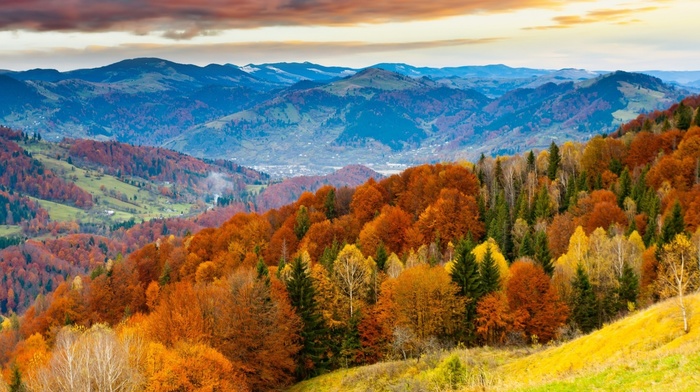 colorful, leaves, clouds, mountain, trees, hill, sky, forest, nature, landscape, valley, fall