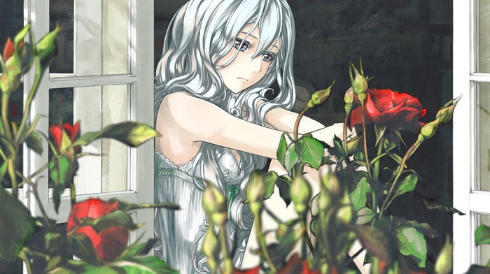 white hair, anime girls, rose, original characters