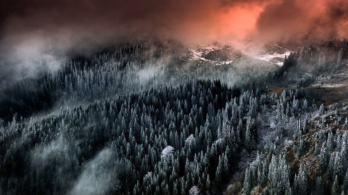 mountain, trees, sunrise, landscape, forest, snow, mist, nature, clouds