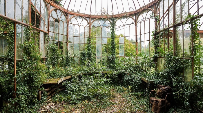 nature, greenhouse, plants