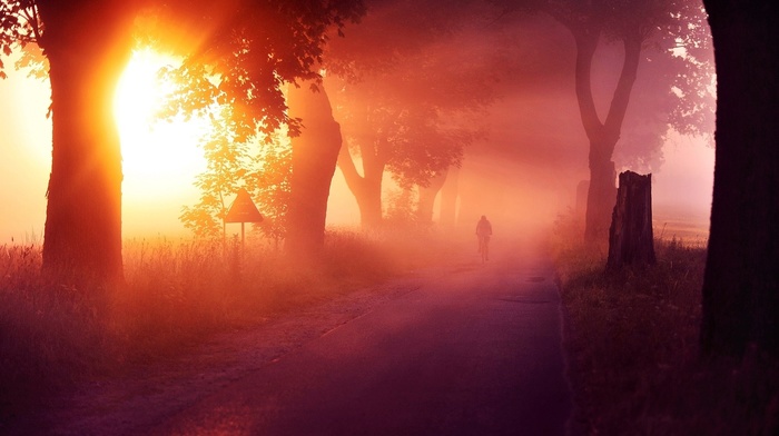atmosphere, trees, road, sunset, landscape, sun rays, mist, nature, grass, cycling
