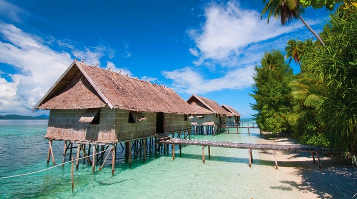 scuba diving, clouds, beach, water, nature, cabin, palm trees, sea, Papua New Guinea, island, tropical, landscape