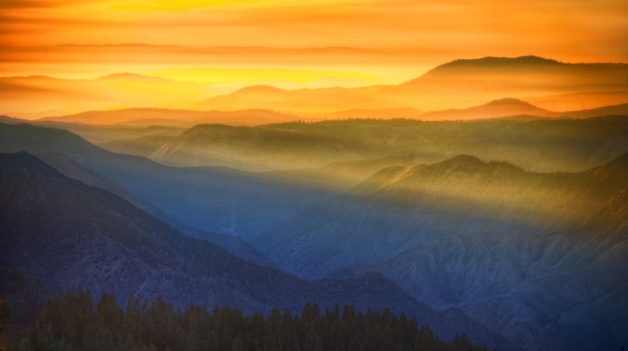 sun rays, mountain, sunset, sky, Yosemite National Park, nature, mist, forest, yellow, landscape