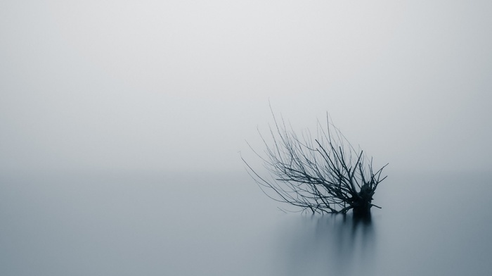 water, landscape, reflection, blurred, monochrome, trees, minimalism, mist, branch, long exposure, nature