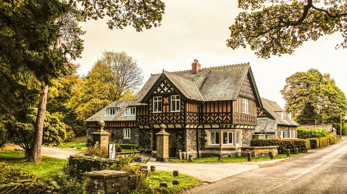 architecture, road, house, trees