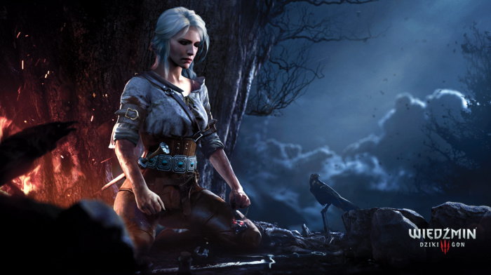 The Witcher 3 Wild Hunt, Cirilla