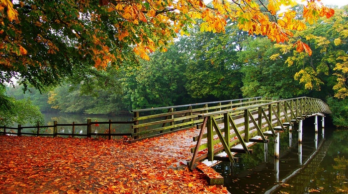 overcast, walkway, fall, trees, nature, landscape, architecture, river, leaves, bridge