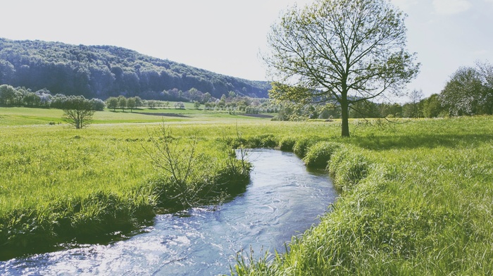 nature, water, landscape