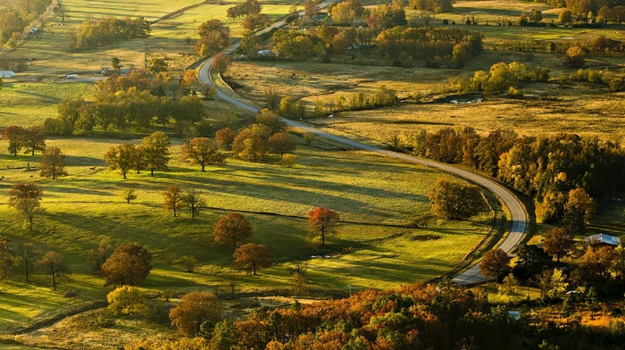 landscape, road, grass, fall, field, trees, sunrise, summer, sunlight, morning, nature, village, green