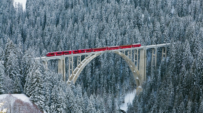 bridge, river, forest, cold, nature, train, snow, winter, Switzerland, landscape, trees