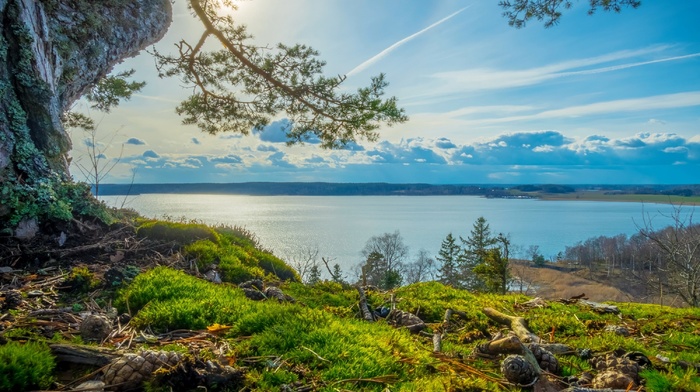 Sweden, nature, grass, clouds, landscape, trees, river, sunlight, sky, summer