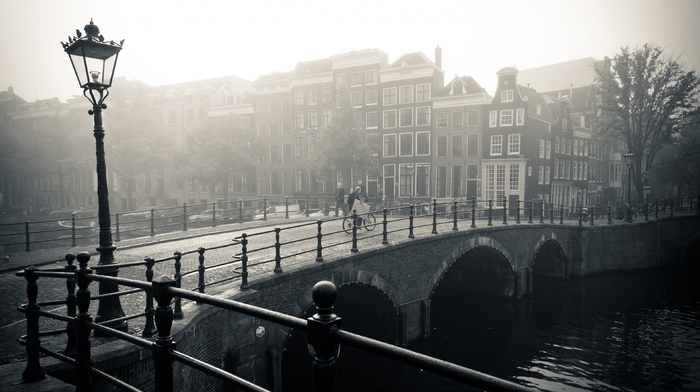 bridge, photography, mist