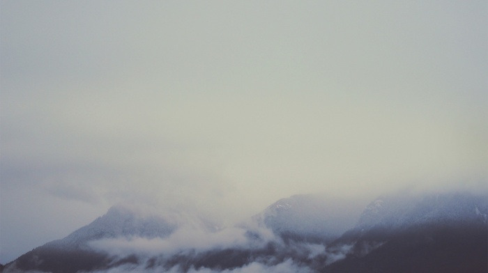 mist, mountain, clovers, sky