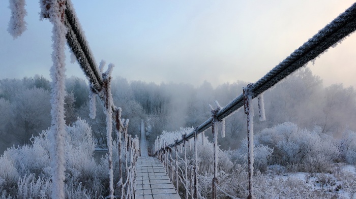 winter, ice, bridge, nature