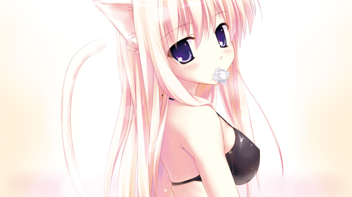 condom, nekomimi, anime girls, anime